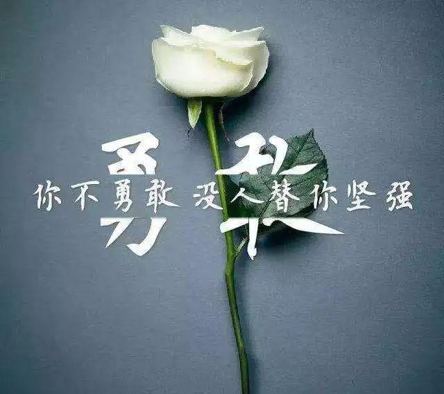 最新影視劇，引領(lǐng)視覺盛宴，探索未知世界