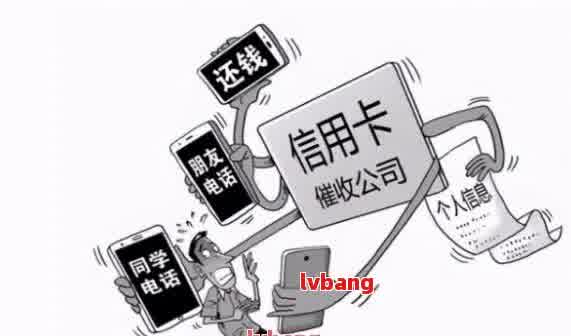 臺(tái)風(fēng)最新情況，影響及應(yīng)對(duì)措施的全面解析